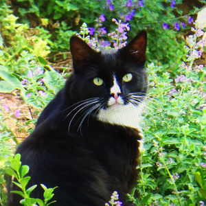 Meet your Posher, Vicki